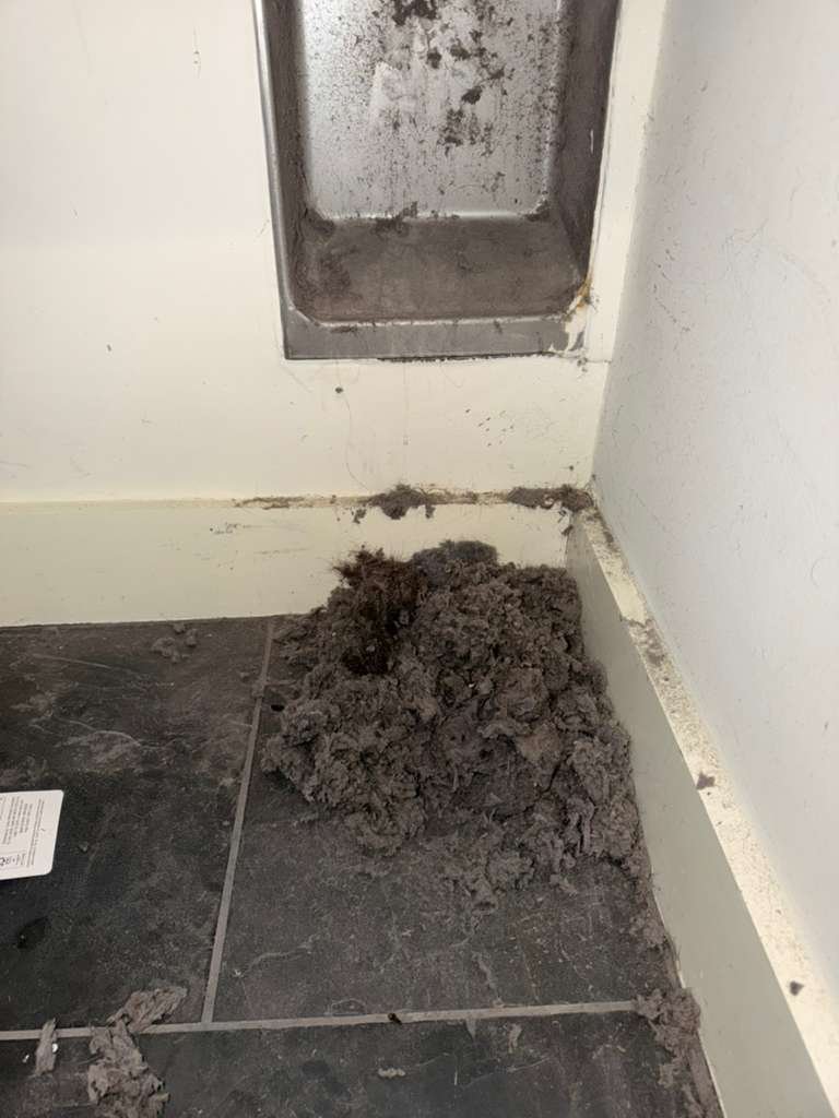Lint Screen & Lint Trap Cleaning Dallas TX — Pure Vent Solutions